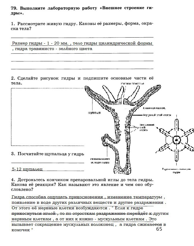 Мегу закрыли