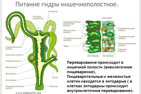 Кракен даркнет вход