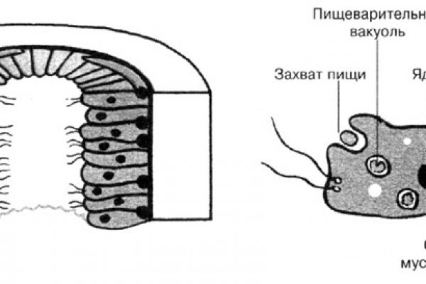 Рабочая ссылка кракена